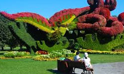 OOTY