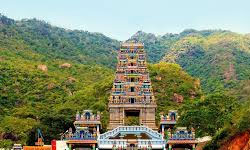 Ooty - Coimbatore