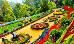 Mysore - Ooty 