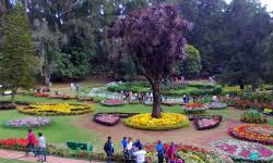 OOTY