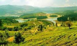 Mysore
