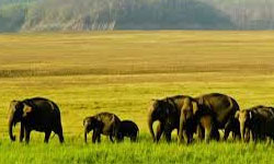 Haridwar – Corbett