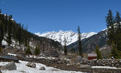 Delhi - Shimla