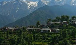 Dharamshala - Manali