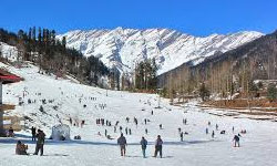 Shimla