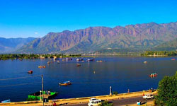 Srinagar