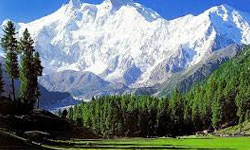 Srinagar – Sonmarg – Srinagar