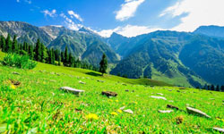 Srinagar – Gulmarg